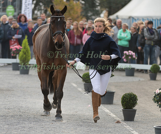 Kate HONEY  (GBR) AND FERNHILL NOW OR NEVER