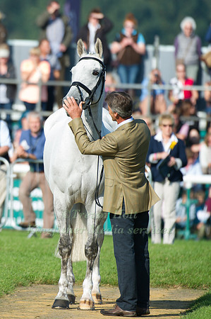 Bill Levett and Improvise taking part in the Show Jumping Phase taking part in the Show Jumping Phase