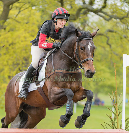 NICKI HARRISON AND  WOLFSTONES SUMMER LOVE