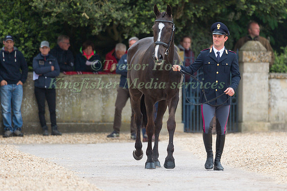 Pietro Sandei (ITA) and Mouse  at the Final  Horse Inspection of the 2017 Mitsubishi Motors Badminton Horse Trials