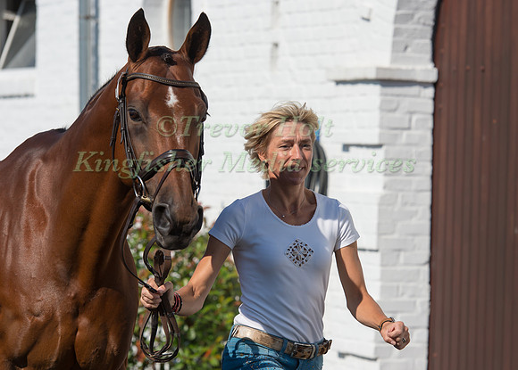 Ingrid Klimke (GER) and  Horseware Hale Bob