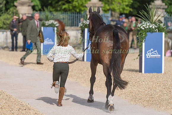 Rosalind Canter (GBR) and Allstar B