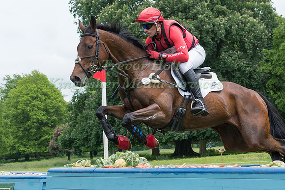 PAUL TAPNER (AUS) RIDING COUNTERPARTY TAKING PART IN THE CROSS COUNTRY PHASE OF THE CICO THREE STAR AT THE 2017 HOUGHTON INTERNATIONAL HORSE TRIALS
