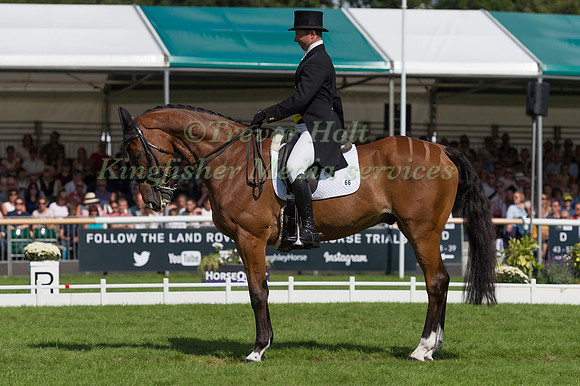 Harry Dzenis (GBR) and Dromgurrihy Blue