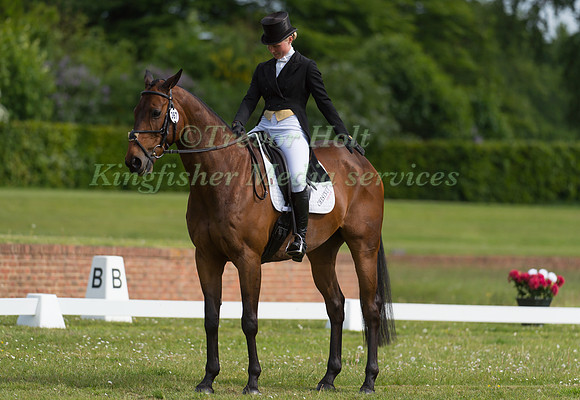 Sarah Parkes riding Balladeer Durban Hills
