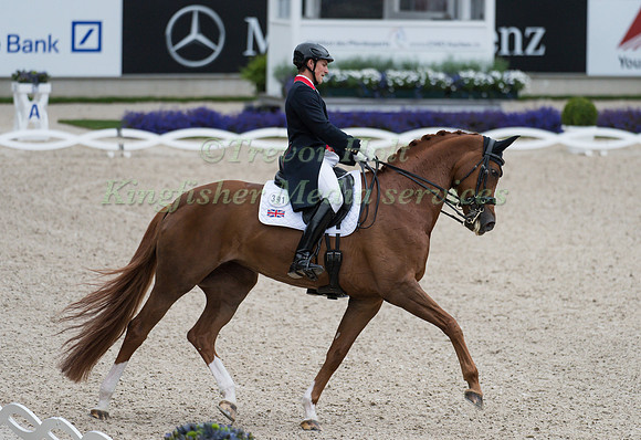 Michael Eilberg ((GBR)) and Woodlander Farouche taking part in the Prize of VUV - Vereinigte Unternehmerverbände Aachen Prix St. Georges CDI4*