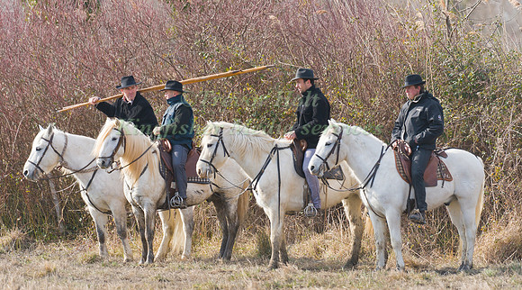 A group of Guardians  Wait for their turn in the handling test