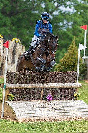 SAFFRON CRESSWELL AND VIVENDI HERO