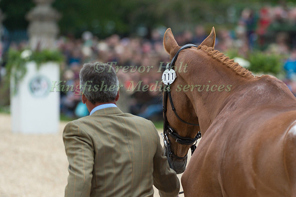 Andrew Nicholson (NZL) and Nereo at the Final  Horse Inspection of the 2017 Mitsubishi Motors Badminton Horse Trials\