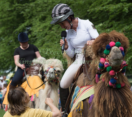 BETTINA HOY AFTER  TAKING PART IN THE CAMEL RACING AT THE 2017 HOUGHTON INTERNATIONAL HORSE TRIALS