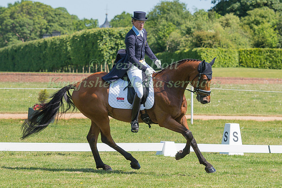 LUDWIG SVENNERSTAL (SWE) RIDING STINGER IN THE DRESSAGE PHASE OF THE CICO THREE STAR AT THE 2017 HOUGHTON INTERNATIONAL HORSE TRIALS