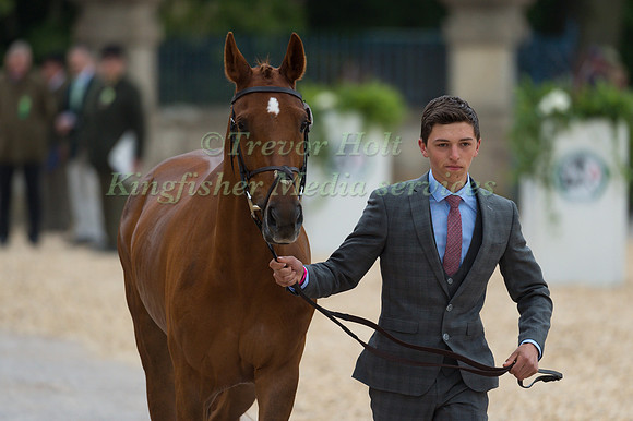 Cathal Daniels (IRL) and Rioghan Rua at the Final  Horse Inspection of the 2017 Mitsubishi Motors Badminton Horse Trials