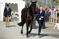 Class Hermann Romeike of Germany and Cato 68