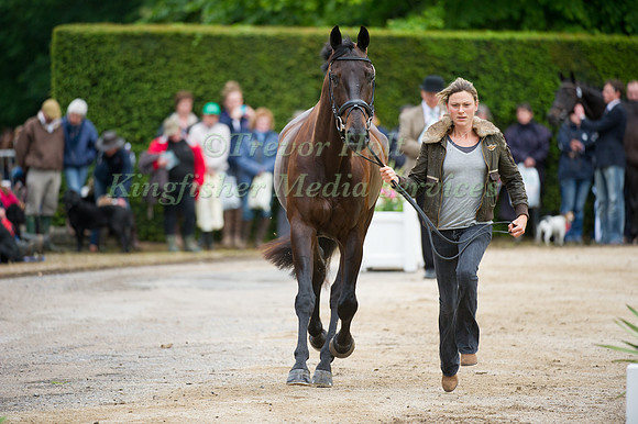 Kathryn Robinson and Let It Bee