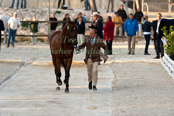 Michael Jung  and La Biosthetique Sam FBW