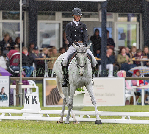 ANDREW  NICHOLSON (NZL) AND AS IS