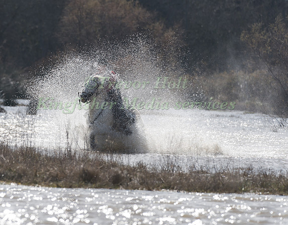Cross Country test Camargue Style