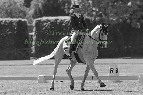 ELAINE PEN (NED) AND UNDER COVER
