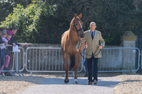 Bill Levett (AUS) and Lates Quin
