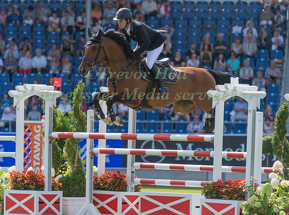 SERGIO ALVAREZ MOYA AND G& C WOLF