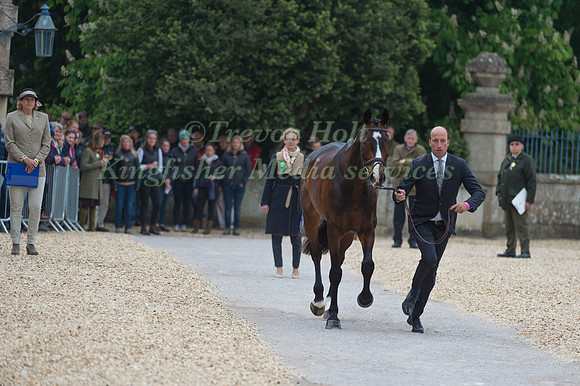 Tim Price (NZL) and Xavier Faer at the Final  Horse Inspection of the 2017 Mitsubishi Motors Badminton Horse Trials