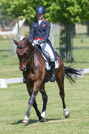 IZZY TAYLOR (GBR) RIDING CADILLAC IN THE DRESSAGE PHASE OF THE CICO THREE STAR AT THE 2017 HOUGHTON INTERNATIONAL HORSE TRIALS
