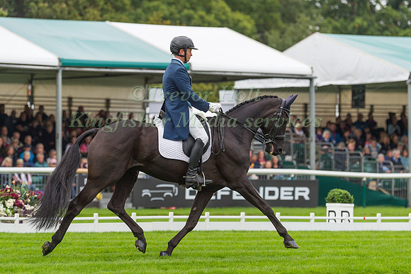 FRANCIS WHITTINGTON AND DHI PURPLE RAIN (GBR)