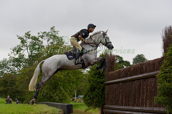Andrew Nicholson and Avebury