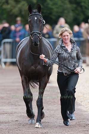 Nicola Wilson and Oppostition Buzz