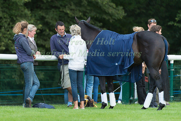 Team  Wilson (GBR) and  Annie Clover