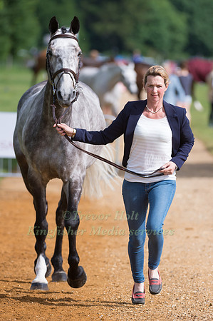 HANNAH BATE (GBR) AND CAPITAL T AT THE HORSE INSPECTION