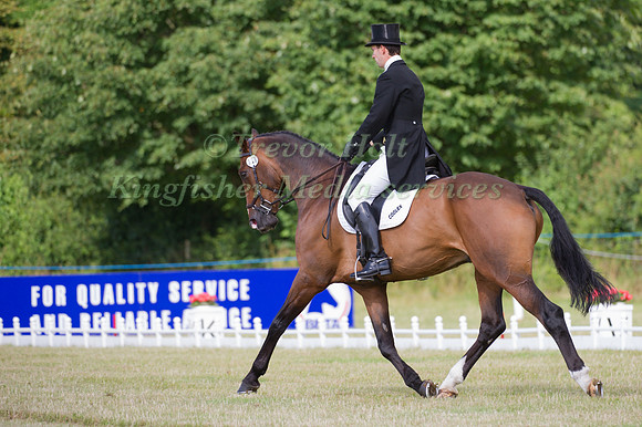 Harry Meade and Wild Lone