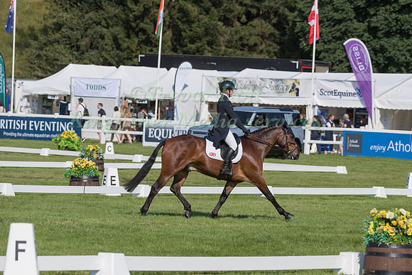 OLIVE NICHOLLS  AND KINGSTON DAVID