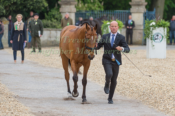 Michael Jung (GER) and La Biosthetique Sam FBW at the Final  Horse Inspection of the 2017 Mitsubishi Motors Badminton Horse Trials