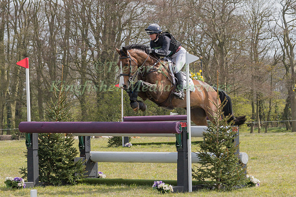 PIGGY MARCH RIDING SPORTSFIELD TOP NOTCH
