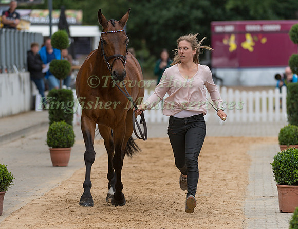 FRANCESCA REID-WARRILOW (GBR) AND DOLLEY WHISPER