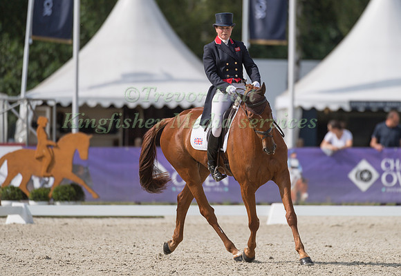 PIGGY FRENCH (GBR) AND QUARRYCREST ECHO