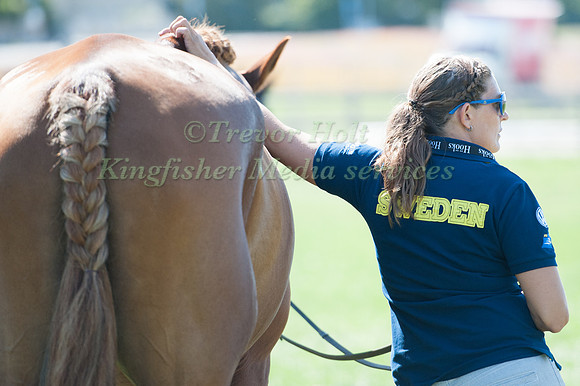 A Swedish Groom relaxes bfore the Troot Up