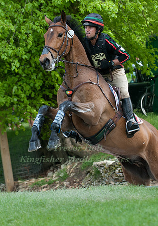 Duarte Sebra & Fernhill Gloster Rebel