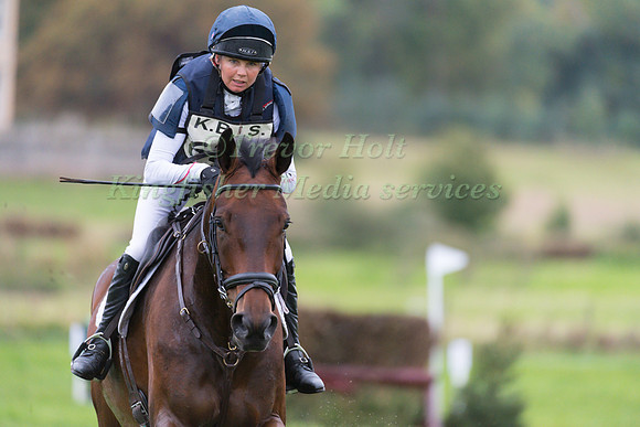 LOUISE HARWOOD  AND TREVILLICK