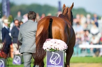 Michael Ryan (IRL) RIDING Ballylynch Adventure taking part in the Show Jumping Phase