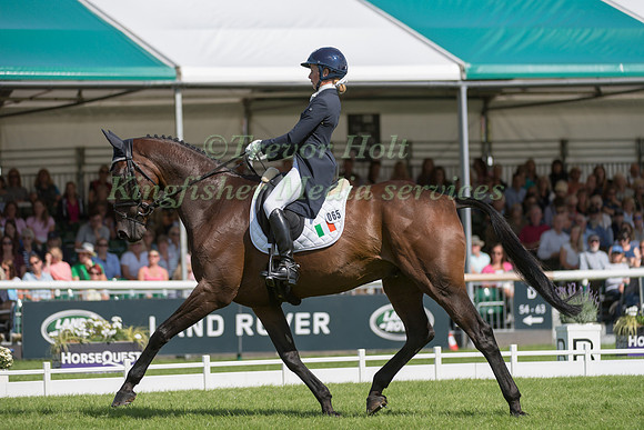 Sarah  Ennis (IRL) and Blm Diamond Delux