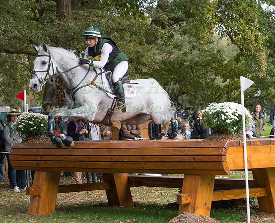 Nicky RONCORONI (GBR) AND STONEDGE
