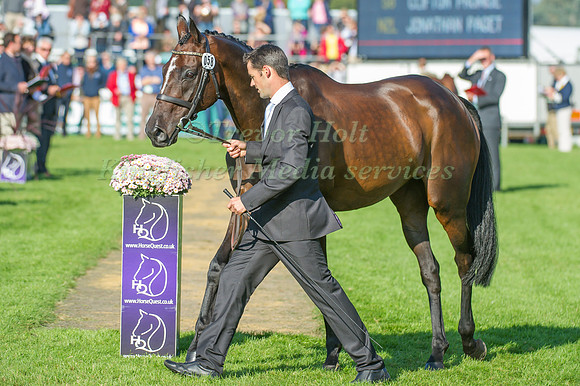 Jonathan Paget (NZL) riding Clifton Promise taking part in the Show Jumping Phase