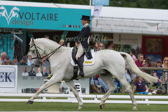 HOME LOUISA MILNE (GBR) AND KING EIDER TAKING PART IN THE DRESSAGE PHASE OF THE  CIC THREE STAR COMPETITION AT THE 2017 EQUI-TREK BRAMHAM INTERNATIONAL HORSE TRIALS