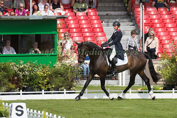 Izzy Taylor of Great Britain  riding Allercombe Ellie