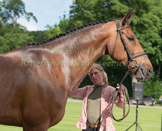 ROSALIND CANTER AND REHY ROYAL DIAMOND