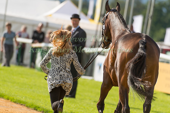 Rosalind Canter (GBR) and  Allstar B