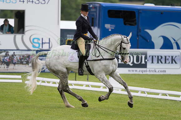 FIONA DAVIDSON (GBR) AND GALWAYBAY SMOKIE TAKING PART IN THE DRESSAGE PHASE OF THE  CIC THREE STAR COMPETITION AT THE 2017 EQUI-TREK BRAMHAM INTERNATIONAL HORSE TRIALS