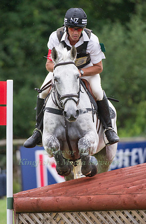 Andrew Nicholson and Avebury